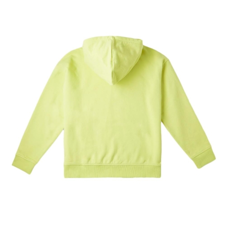Sweat à Capuche Vert Garçon O'Neill Checker