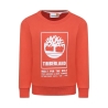 Sweat Terracotta Garçon Enfant Timberland T60075