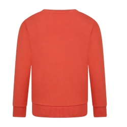 Sweat Terracotta Garçon Enfant Timberland T60075