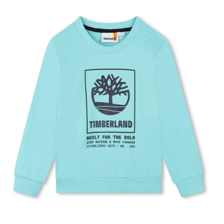 Sweat Bleu Garçon Timberland T60075