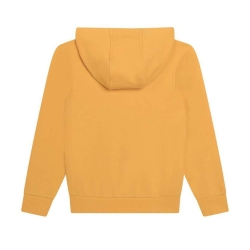 Sweat à Capuche Jaune Garçon Timberland T60077
