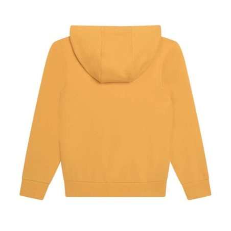 Sweat à Capuche Jaune Garçon Timberland T60077