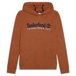 Sweat Marron Garçon Timberland T25U56