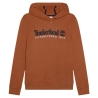 Sweat Marron Garçon Timberland T25U56