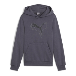 Sweat Gris Garçon Puma Cat Ho