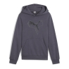 Sweat Gris Garçon Puma Cat Ho