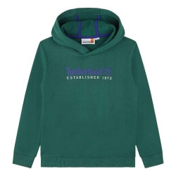 Sweat Vert/Bleu Garçon Timberland T25U56