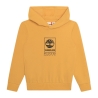 Sweat Jaune Garçon Timberland T60077
