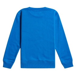 Sweat Bleu Garçon Billabong Stamp