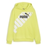 Sweat Vert Garçon Puma 679256