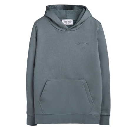 Sweat Gris Garçon Teddy Smith S-nark Hoody Jr