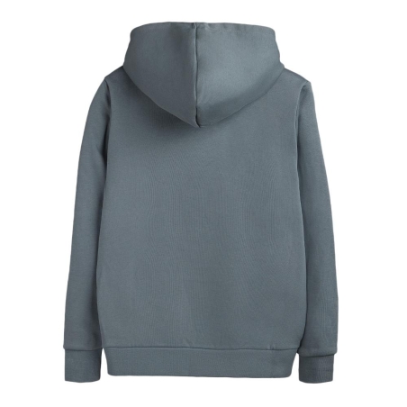 Sweat Gris Garçon Teddy Smith S-nark Hoody Jr