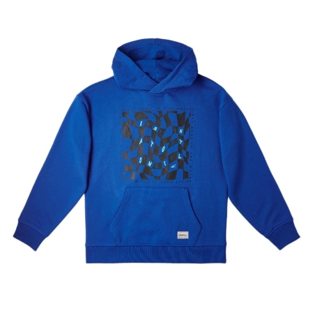 Sweat à Capuche Bleu Amande Garçon O'Neill Checker