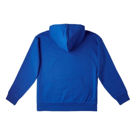 Sweat à Capuche Bleu Amande Garçon O'Neill Checker