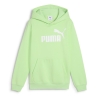 Sweat à Capuche Vert Pomme Garçon Puma Hoodi
