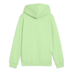 Sweat à Capuche Vert Pomme Garçon Puma Hoodi