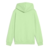 Sweat à Capuche Vert Pomme Garçon Puma Hoodi