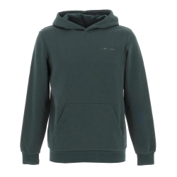 Sweat Vert Garçon Teddy Smith S-nark Hoody Jr
