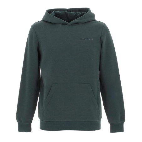 Sweat Vert Garçon Teddy Smith S-nark Hoody Jr