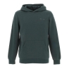 Sweat Vert Garçon Teddy Smith S-nark Hoody Jr