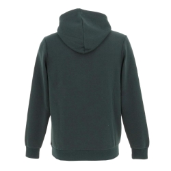 Sweat Vert Garçon Teddy Smith S-nark Hoody Jr