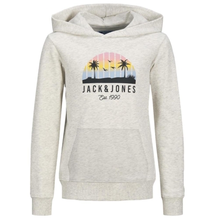Sweat Gris Garçon Jack & Jones Palm