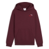 Sweat Bordeaux Garçon Puma Small