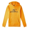Sweat Orange Garçon O'Neill N4750004