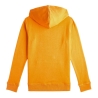Sweat Orange Garçon O'Neill N4750004