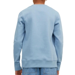 Sweat Bleu Garçon Jack & Jones Colauge