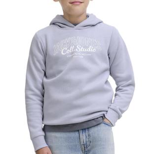 Sweat à Capuche Mauve Garçon Jack & Jones Makoto