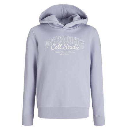 Sweat à Capuche Mauve Garçon Jack & Jones Makoto