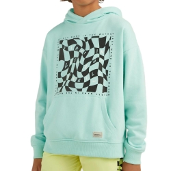 Sweat à Capuche Vert Amande Garçon O'Neill Checker