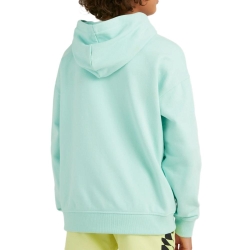 Sweat à Capuche Vert Amande Garçon O'Neill Checker