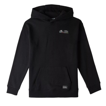 Sweat à Capuche Noir Garçon O'Neill Snsc
