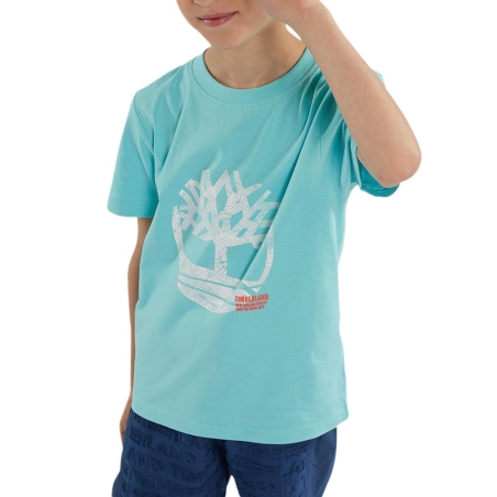T-Shirt Bleu Clair Garçon Timberland T60087