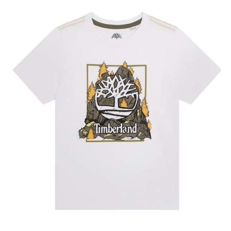 T-Shirt Blanc Garçon Timberland T60092