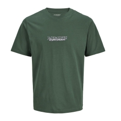 T-Shirt Vert Garçon Jack & Jones Bleecker