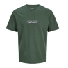 T-Shirt Vert Garçon Jack & Jones Bleecker