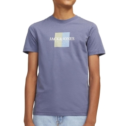T-shirt Bleu Garçon Jack & Jones Jorfre