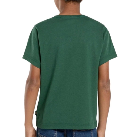 T-Shirt Vert Garçon Dickies Mapleton