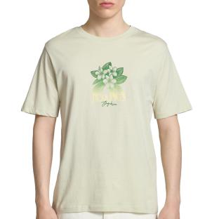 T-Shirt Garçon Vert Jack & Jones Joralmeria