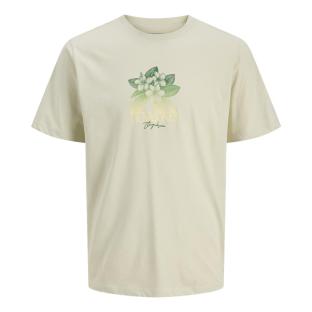 T-Shirt Garçon Vert Jack & Jones Joralmeria