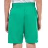 Short Vert Garçon Nike Multi+
