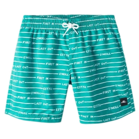 Short de bain Vert Garçon O'Neill All Year 14