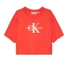 T-shirt Orange Fille Calvin Klein Jeans Teddy