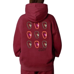 Sweat Bordeaux Homme The North Face NF0A8C3V0VO