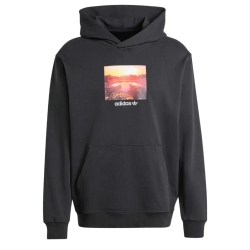 Sweat Gris Homme Adidas Graphic Hoodie