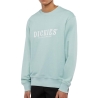 Sweat Vert Homme Dickies Script