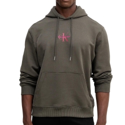 Sweat à Capuche Gris Homme Calvin Klein Jeans 350terry Micro
